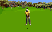 golf.gif (33854 Byte)