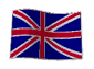 information in english language